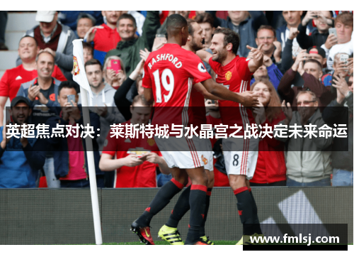 英超焦点对决:莱斯特城与水晶宫之战决定未来命运 英超焦点对决:莱斯特城与水晶宫之战决定未来命运