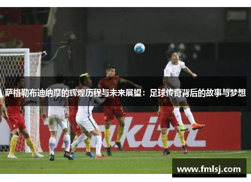 萨格勒布迪纳摩的辉煌历程与未来展望:足球传奇背后的故事与梦想 萨格勒布迪纳摩的辉煌历程与未来展望:足球传奇背后的故事与梦想